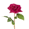 Tige de Rose Premium 50 cm