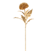 Zinnia Stem