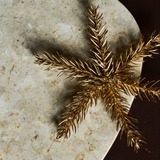 étoile dorée suspension Noel sapin