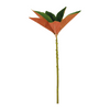 Feuillage de Magnolia Grandiflora 60 cm