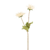 Tige de Chrysanthème Tokyo