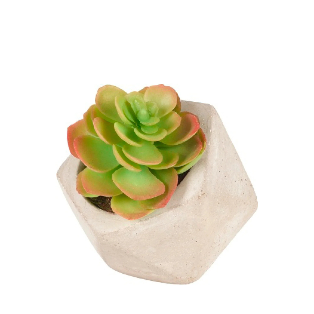 Succulente Artificielle Echeveria en Pot