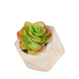 Artificial Echeveria Succulent in Pot