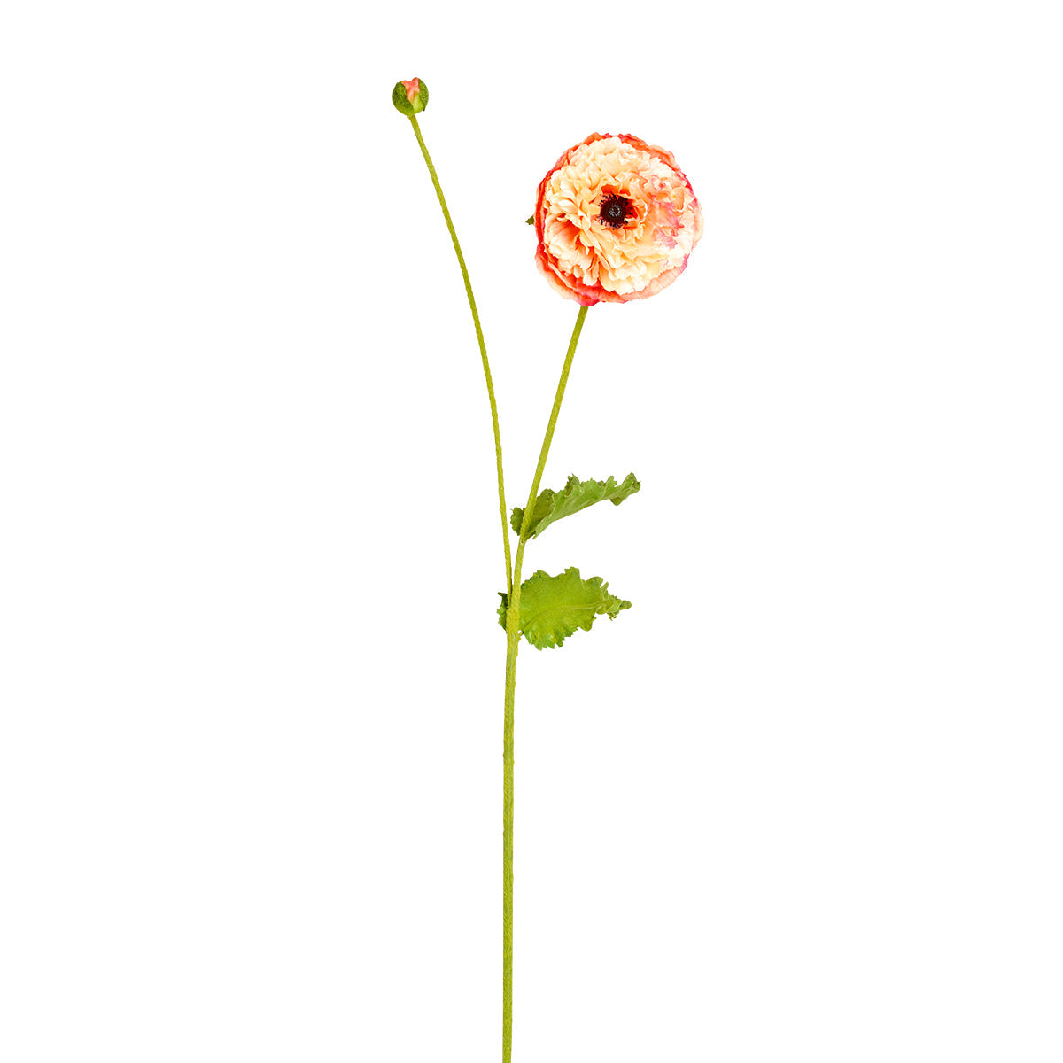 Flor de amapola PIPA