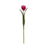 Emilia Tulip Stem