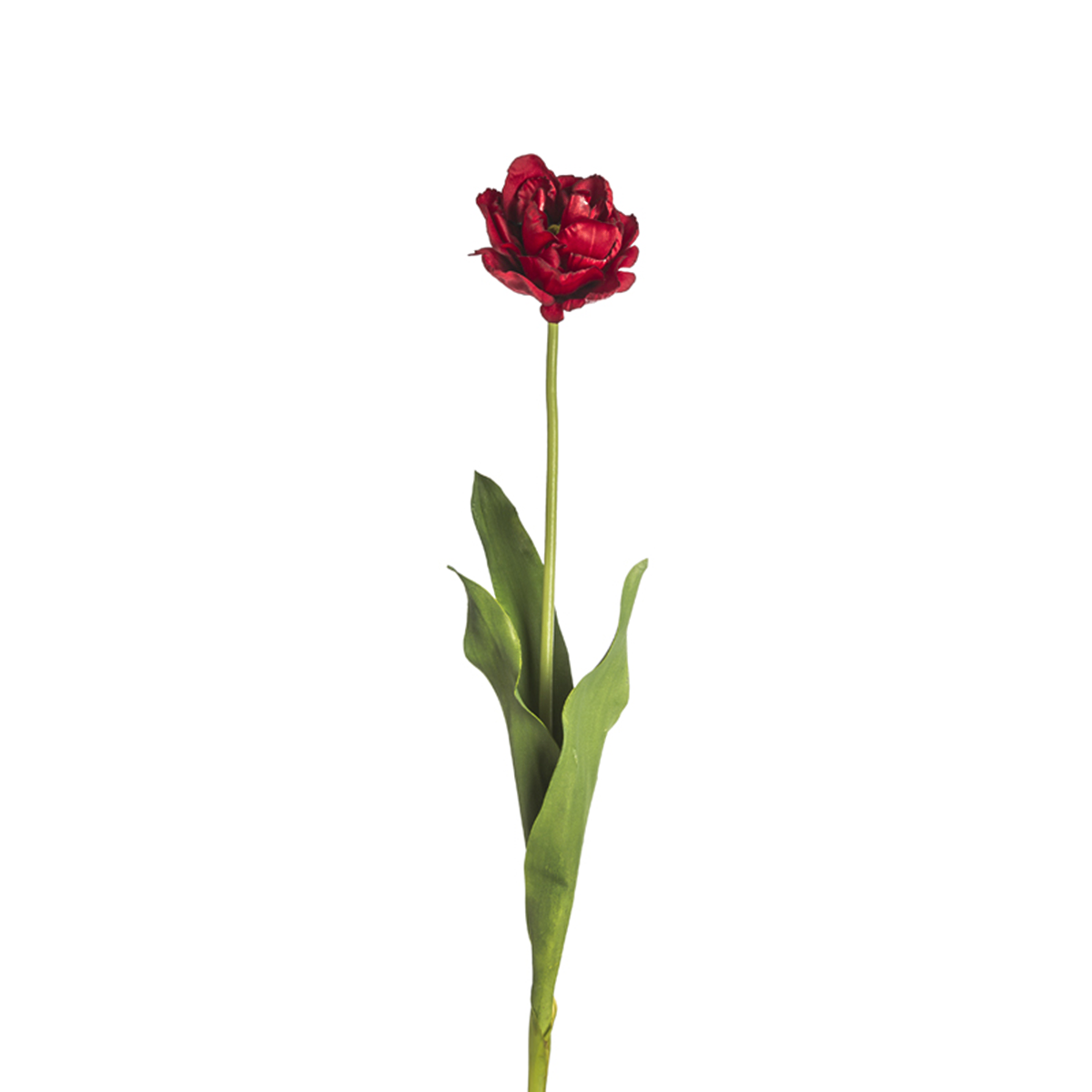 Doble tulipán NINA