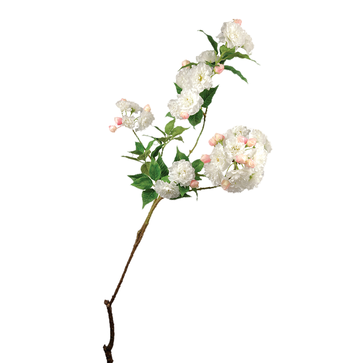 Fleurs de Cerisier MOON H96