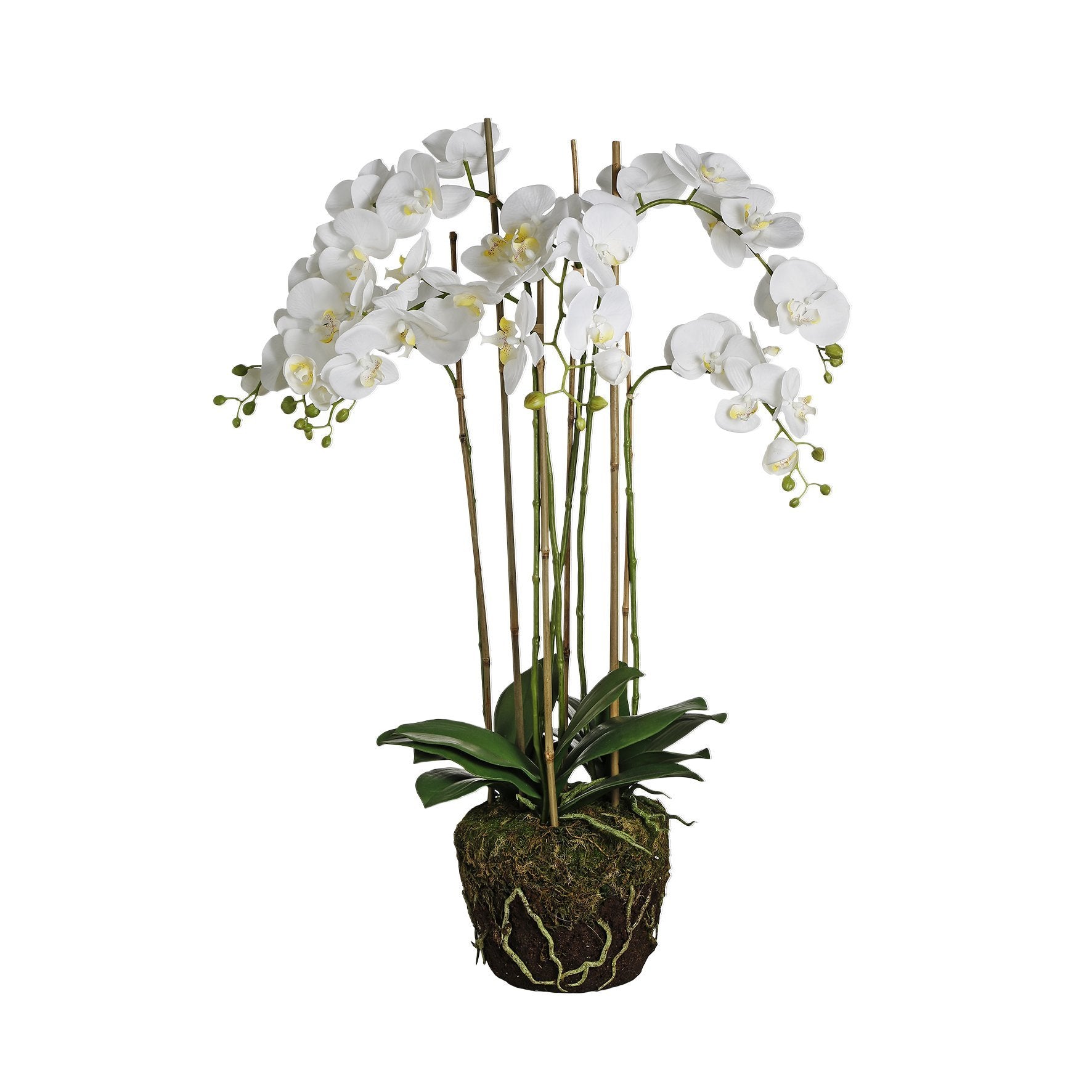 Orquídea artificial de tierra H100
