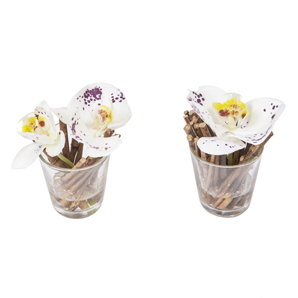 Orchidées Artificielles en Illusion d'Eau Sissi