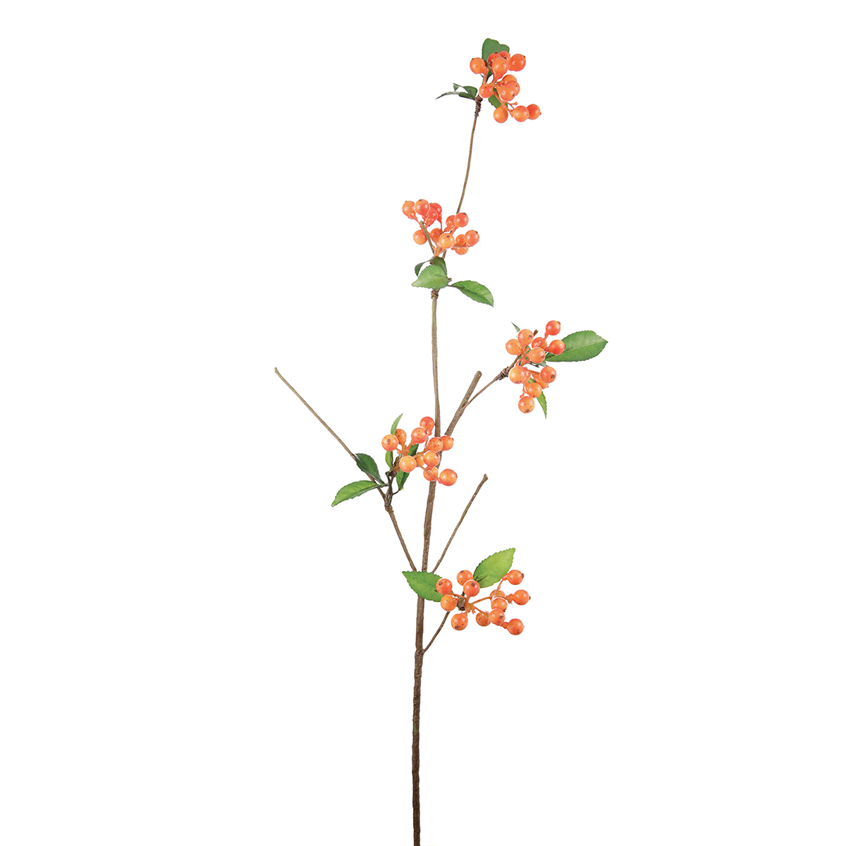 Branche de Baies