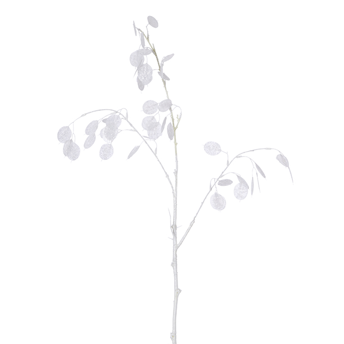Rama de flor de plata lunaria
