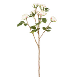 Roses Tea Stem